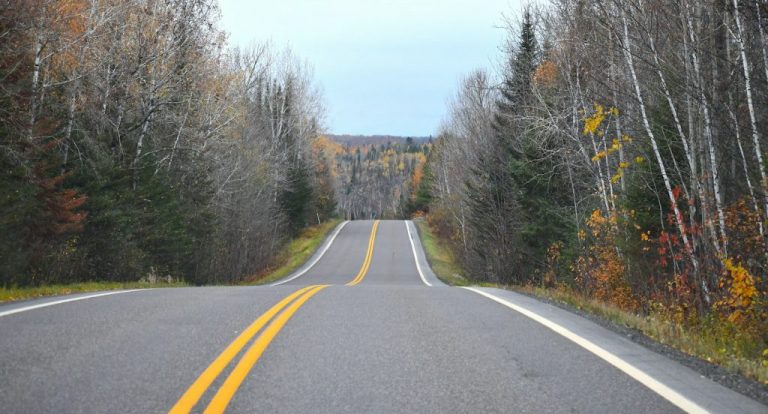 an empty road surrounded by trees in the fall