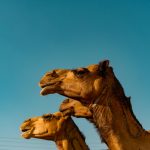 IHG Launches ‘Masarona’ Program to Develop Saudi Hospitality Leaders