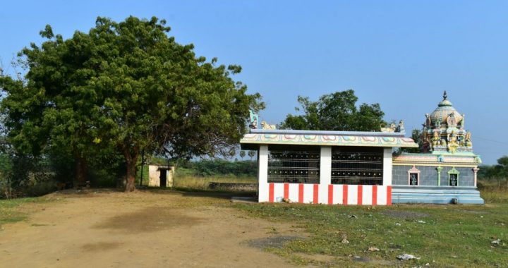 white and red concrete building near green trees during daytime