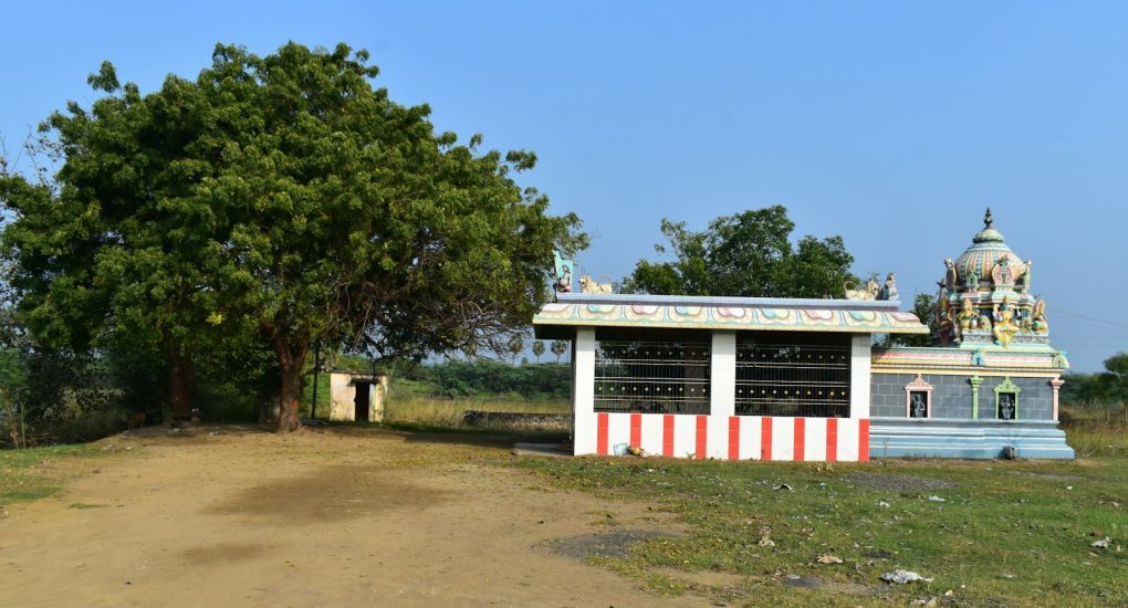 white and red concrete building near green trees during daytime