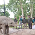 UPDATE: Indonesia Combat Deadly Elephant Virus