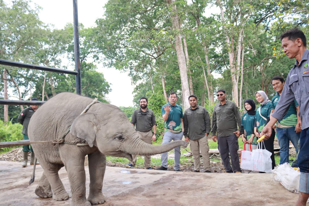 Indonesia engages with Vantara source Reliance Industries Limited