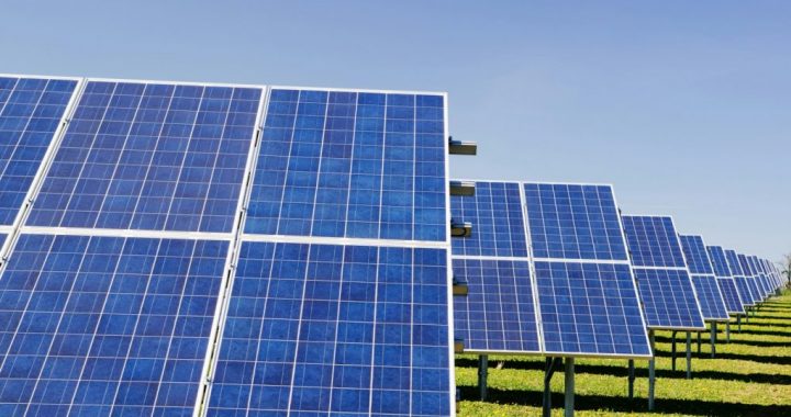 blue solar panel boards