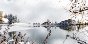 white and brown birds on water near bridge during daytime