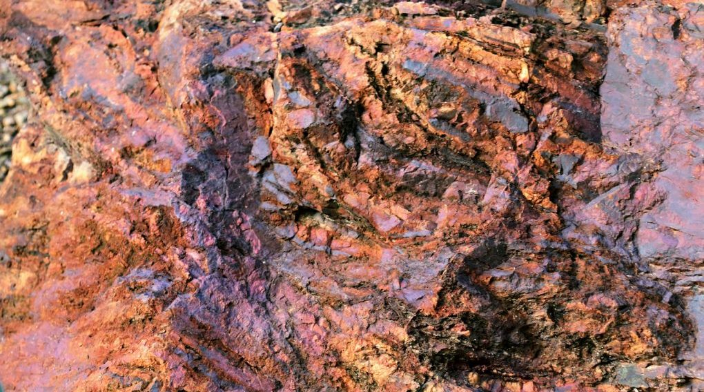 Photo by Jeffrey Eisen a close up of a rock with a green plant in the background