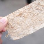 UPDATE: Lenzing Buy Majority in Sweden’s TreeToTextile AB