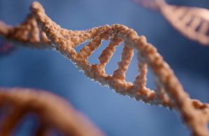 a close up of a single strand of food