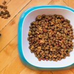 Marks & Spencer Launches New Pet Food Range