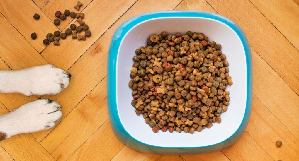brown peanuts in blue plastic bowl